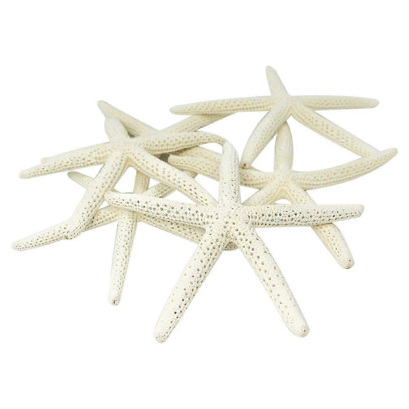 12 stelle marine decorative a cinque dita, 5-10 cm, di colore bianco