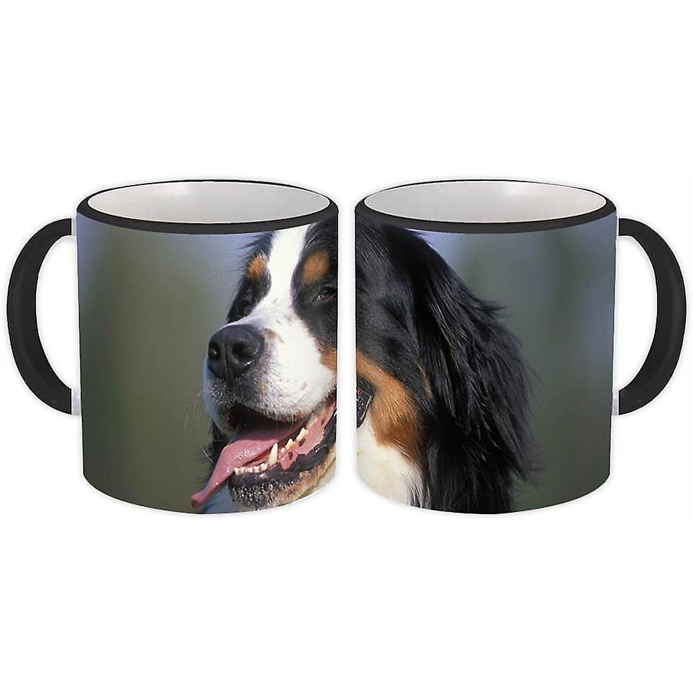Gift Mug: Bernese Dog