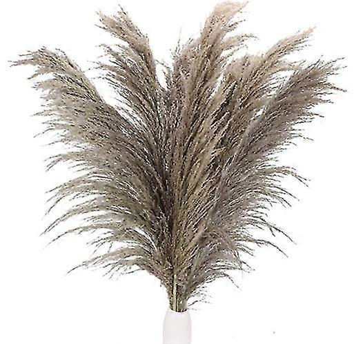 20pcs Pampas Grass, Natural Dried Boho  Artificial,bouquet Wedding