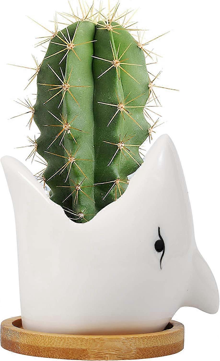 Ceramic Plant Pots Indoor - Shark (White)