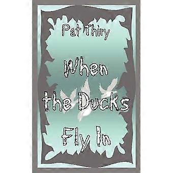 When The Ducks Fly In