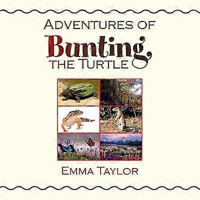 Adventures of Bunting the Turtle