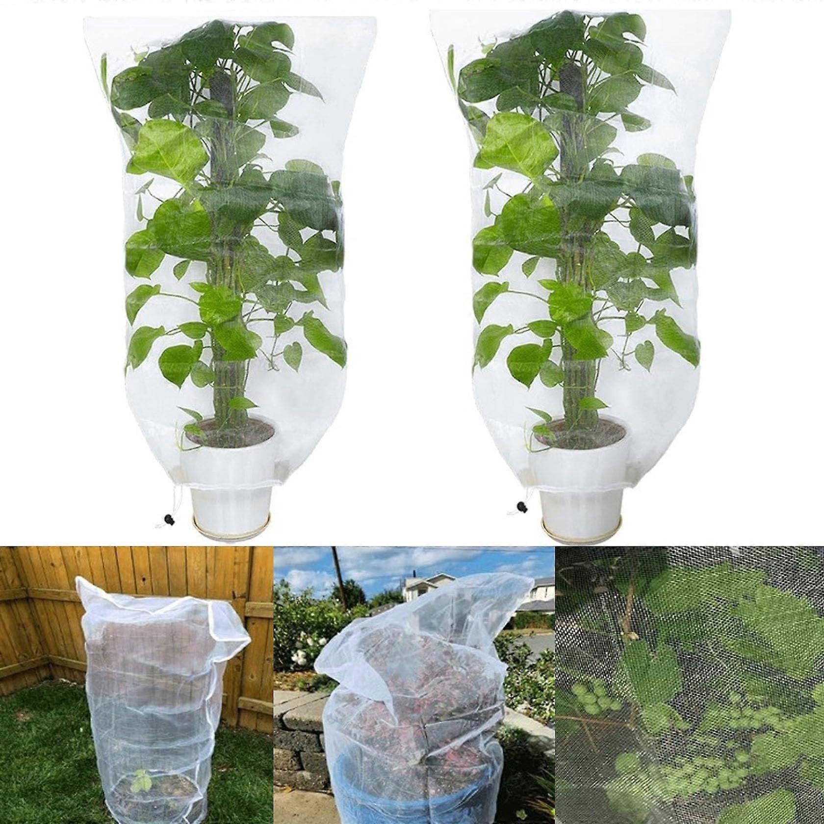 Fine Mesh Bird Protection Net 80 x 100 cm, Ultra Fine Insect Plant Netting, Tear-Resistant for Fruit Trees and Tomatoes, Pack of 2