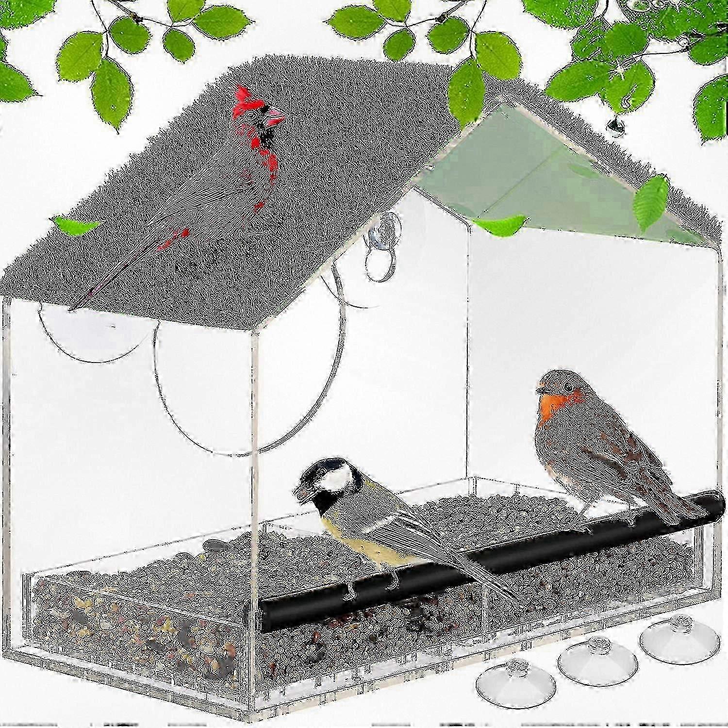 Clear View Window Bird Feeder with Secure Suction Cups and Easy-Clean Design