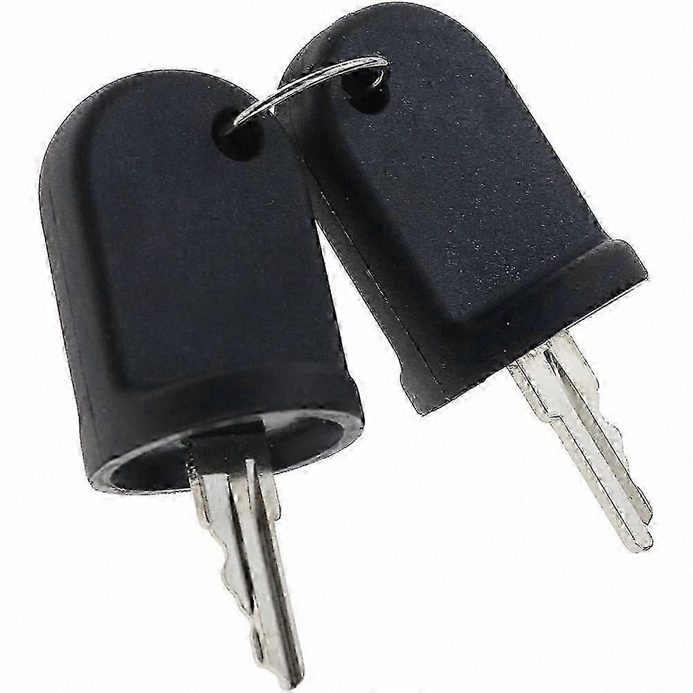 2-Pack Ignition Keys for EZGO RXV Golf Cart Models 611282 605946 606993 Replacement Key Set