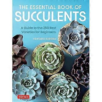 Essensiell bok med sukkulenter : en guide til de 250 variantene som er ideelle for nybegynnere