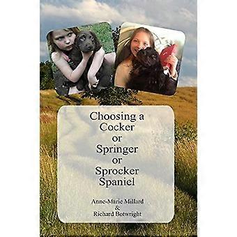 Die Wahl eines Cocker oder Springer oder Sprocker Spaniels: Working Spaniels - für Haustiere, Unternehmen, Arbeit und Spaß.