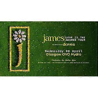 James Glasgow UK Tour 2026 Muziek Stressverlichter Puzzel AY0375