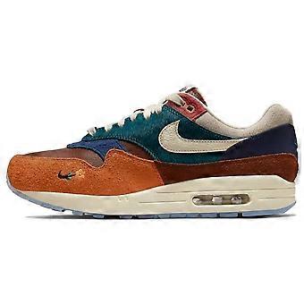 Nike X Kasina Air Max 1 Sp 'Won Ang Orange' DQ8475-800