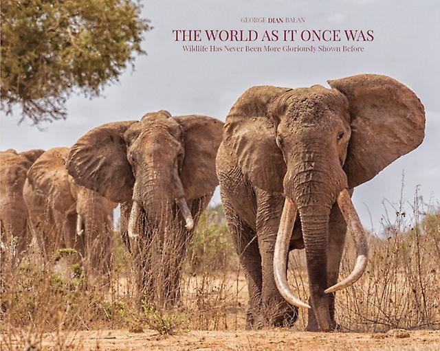 The World As It Once Was by George Dian Balan Hardback Book