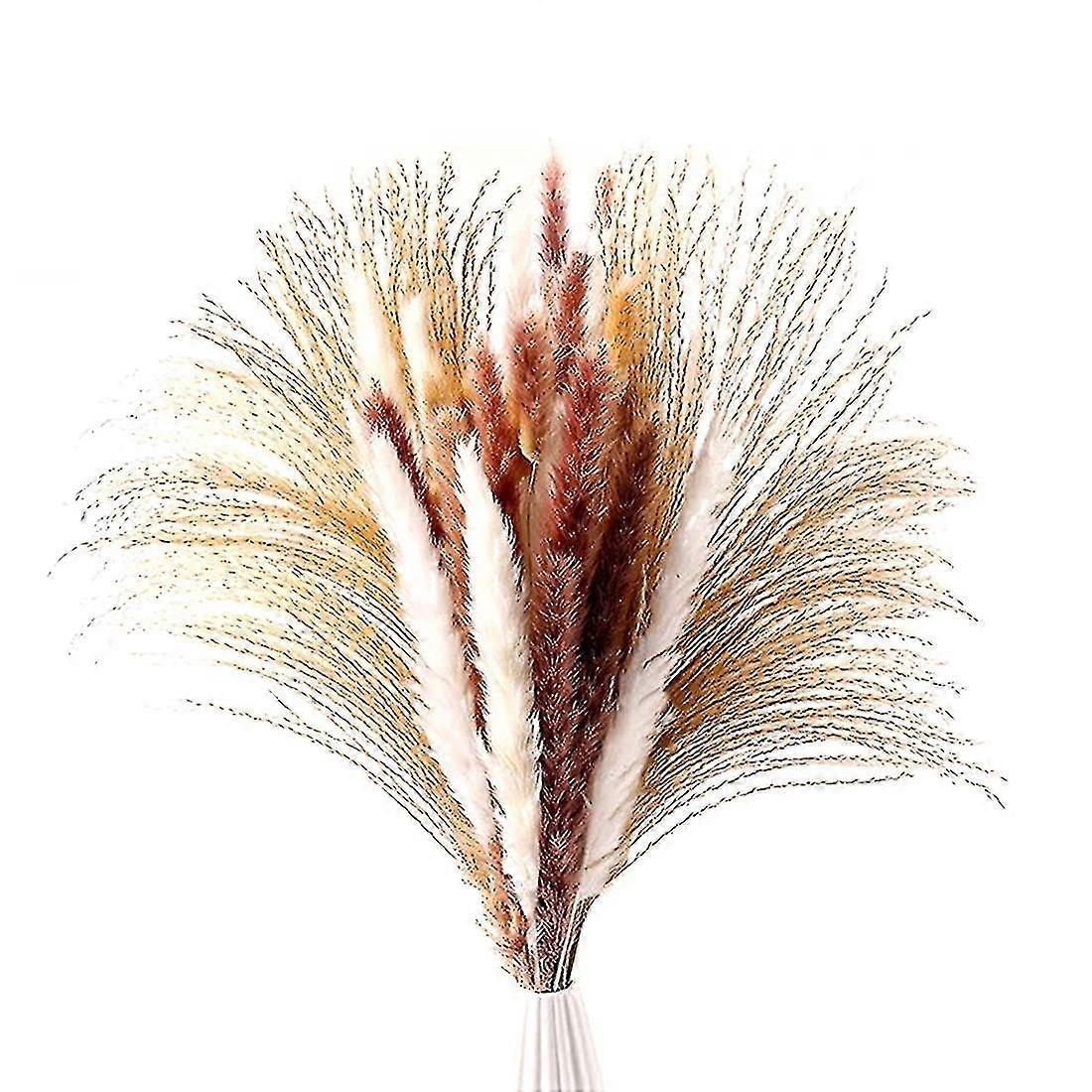 60 Pcs Dried Pampas Grass, 17 Inch Natural Pampass Bouquet Plants,pampas,rabbit Grass And Reeds Compatible With