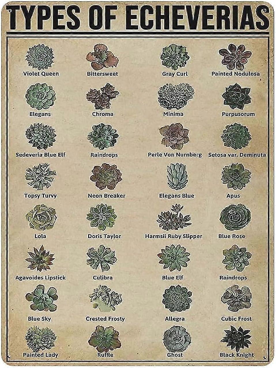 Tipos de Fogueiras Sinal de Lata Decoração de Metal 8x12 Polegadas OU 12x16 Polegadas Modo 1959