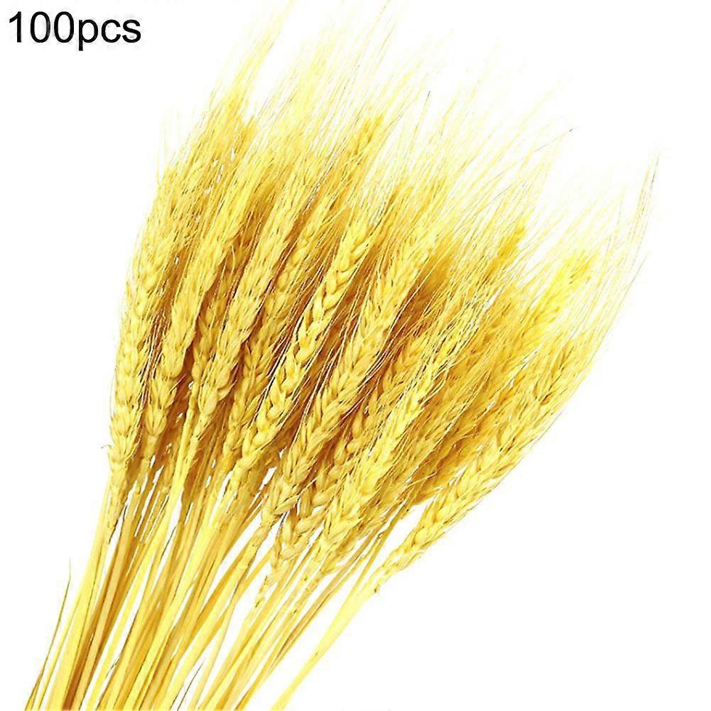 100Pcs αποξηραμένη δέσμη στελεχών σιταριού, τεχνητό σπίτι ντεκόρ ανθοδέσμης σίτου, γραφείο