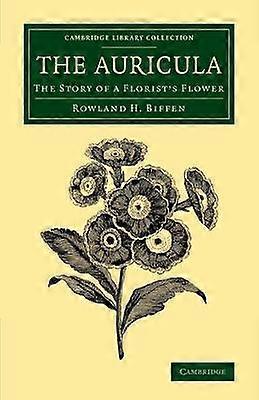 The Auricula