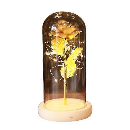 Lovely Rose In Glass Operation Low Dome Romantic Simple Power Consumption Realistic Details Glass Rose
