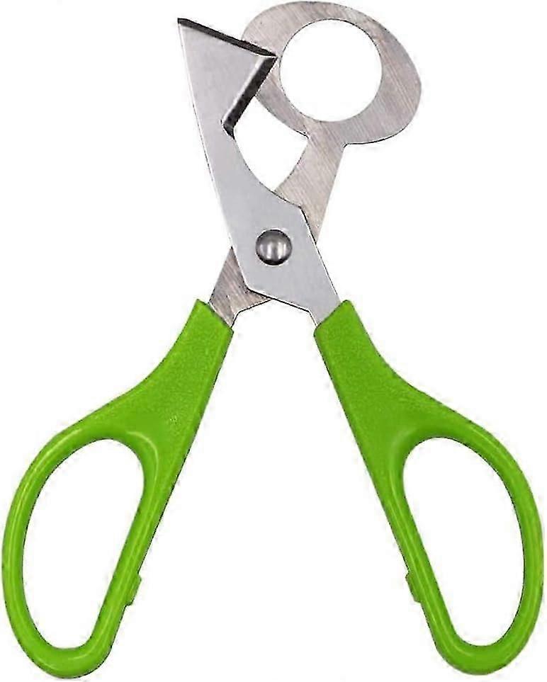 2 Piece Quail Scissors, Eggshell Cutting Scissors, Stainless Steel Quail Eggshell Scissors, for Cutting Eggs, Quail Eggs and Other Eggs