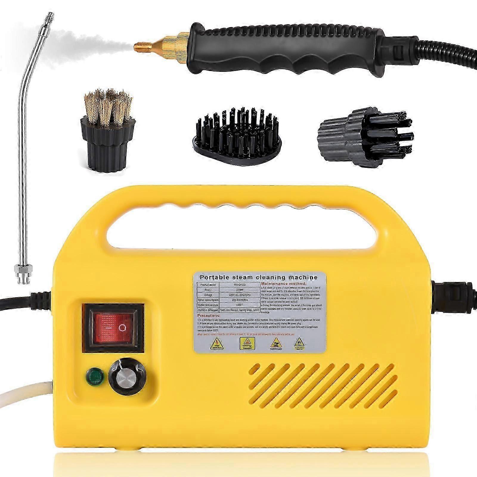 2500W Handheld Steam Cleaner Tankless Design High Temperature Handheld Self-control Steam Cleaning