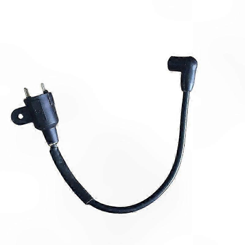 Ignition Coil for 2-Stroke Generators 650W to 1KW Replacement Part 1E45 Engine Compatible Spare Accessory