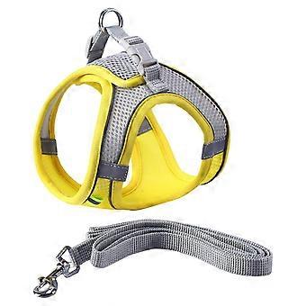 Hundsele med koppelset för små och stora hundar, utomhuspromenader nattetid