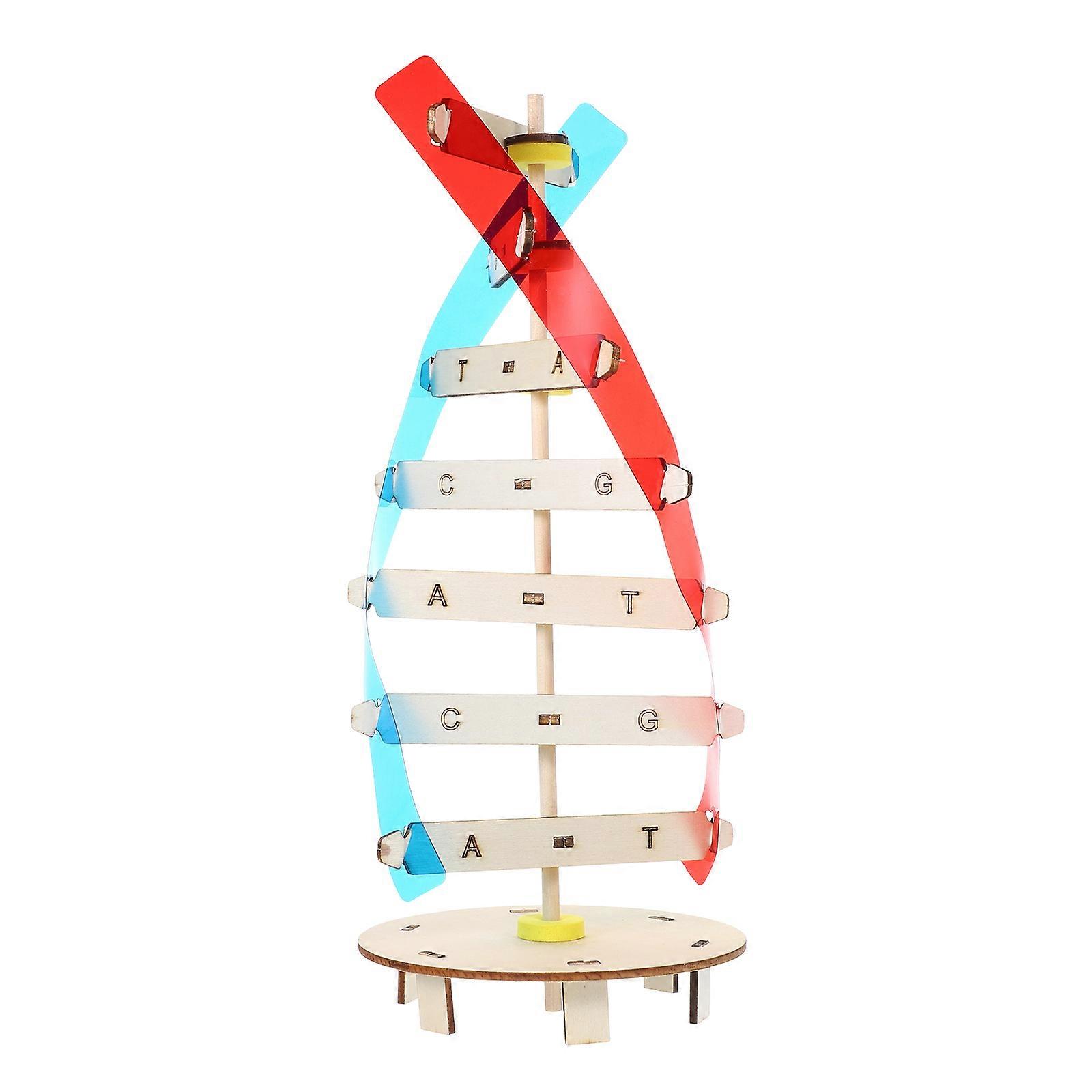 Educational DNA Model Kit for Teaching Science with ABS Wood Material 1 Set