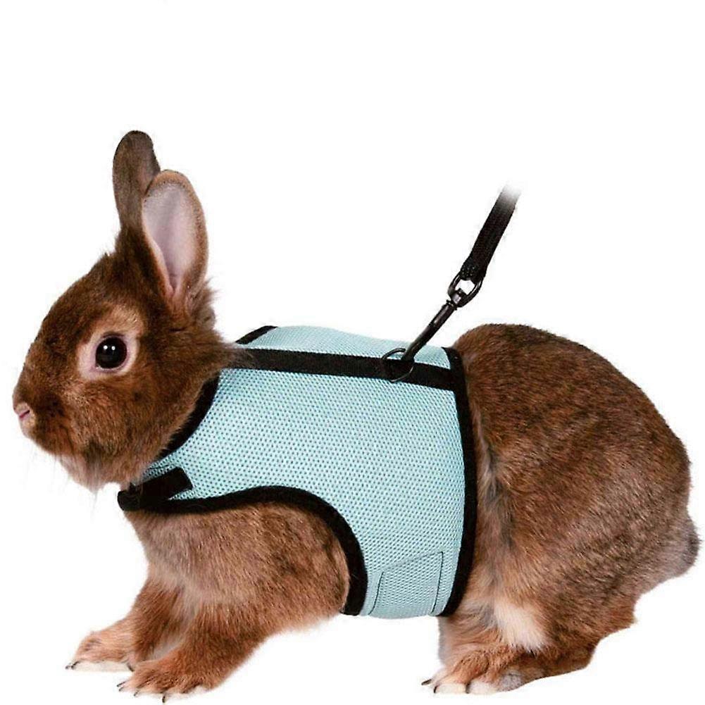 Rabbit Harness and Leash Adjustable Breathable Mesh Set for Bunny Kitten Small Pet Walking