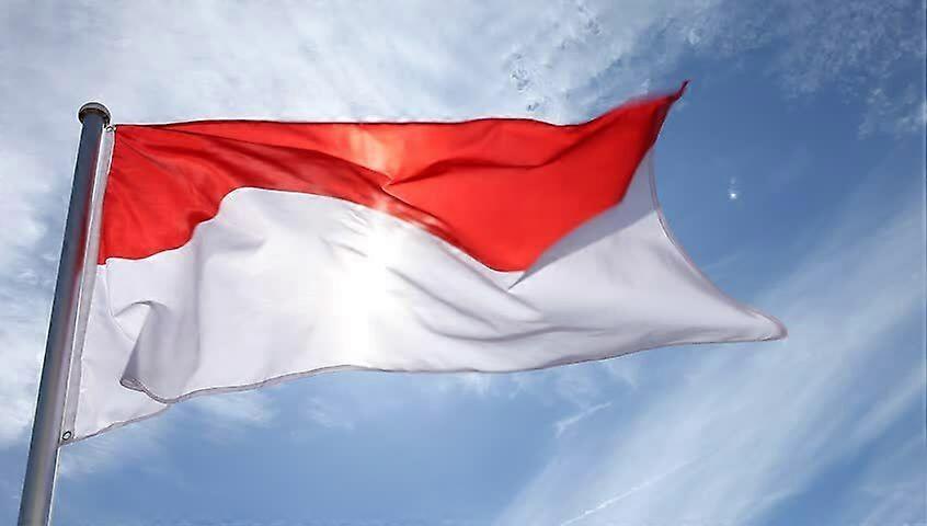 MONACO FLAG FFGG-1528
