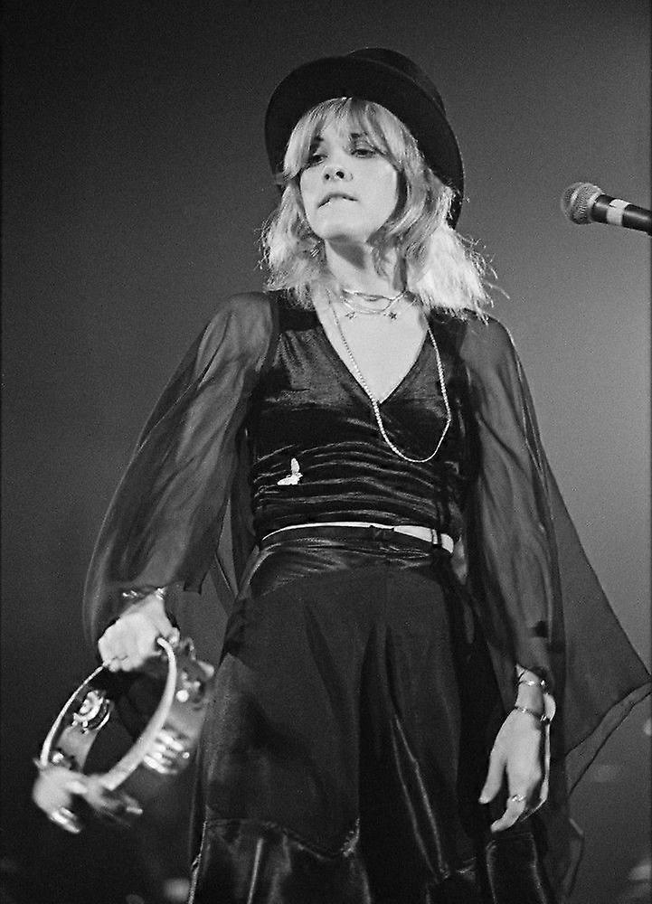 STEVIE NICKS Jigsaw Puzzle Brain Teaser125