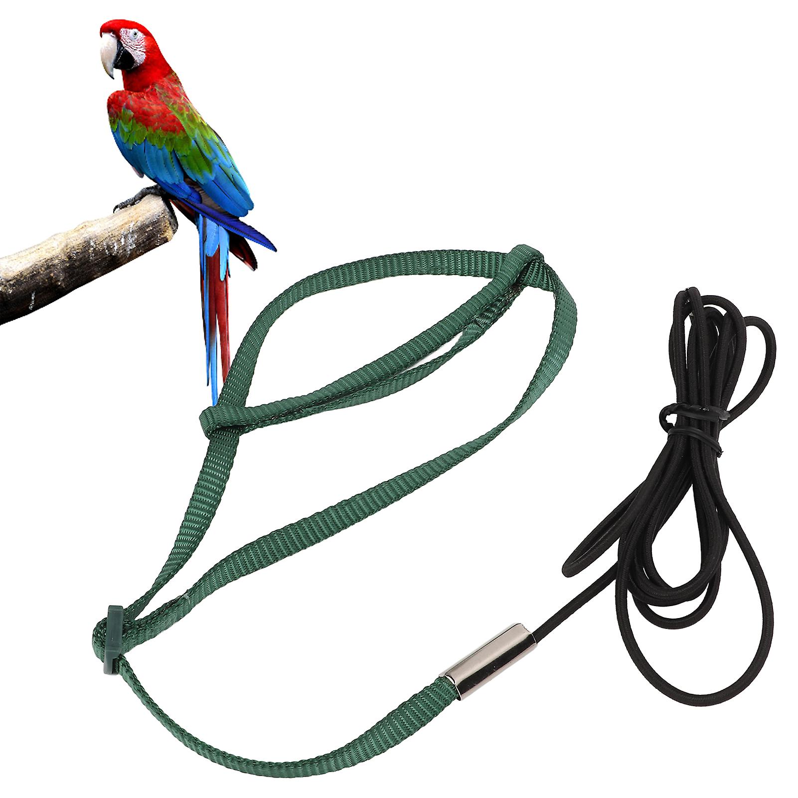 Bird Harness Leash Adjustable Elastic Parrot Flying Rope Green S