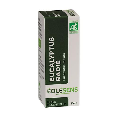 Eucalyptus radish 10 ml of essential oil (Eucalyptus)