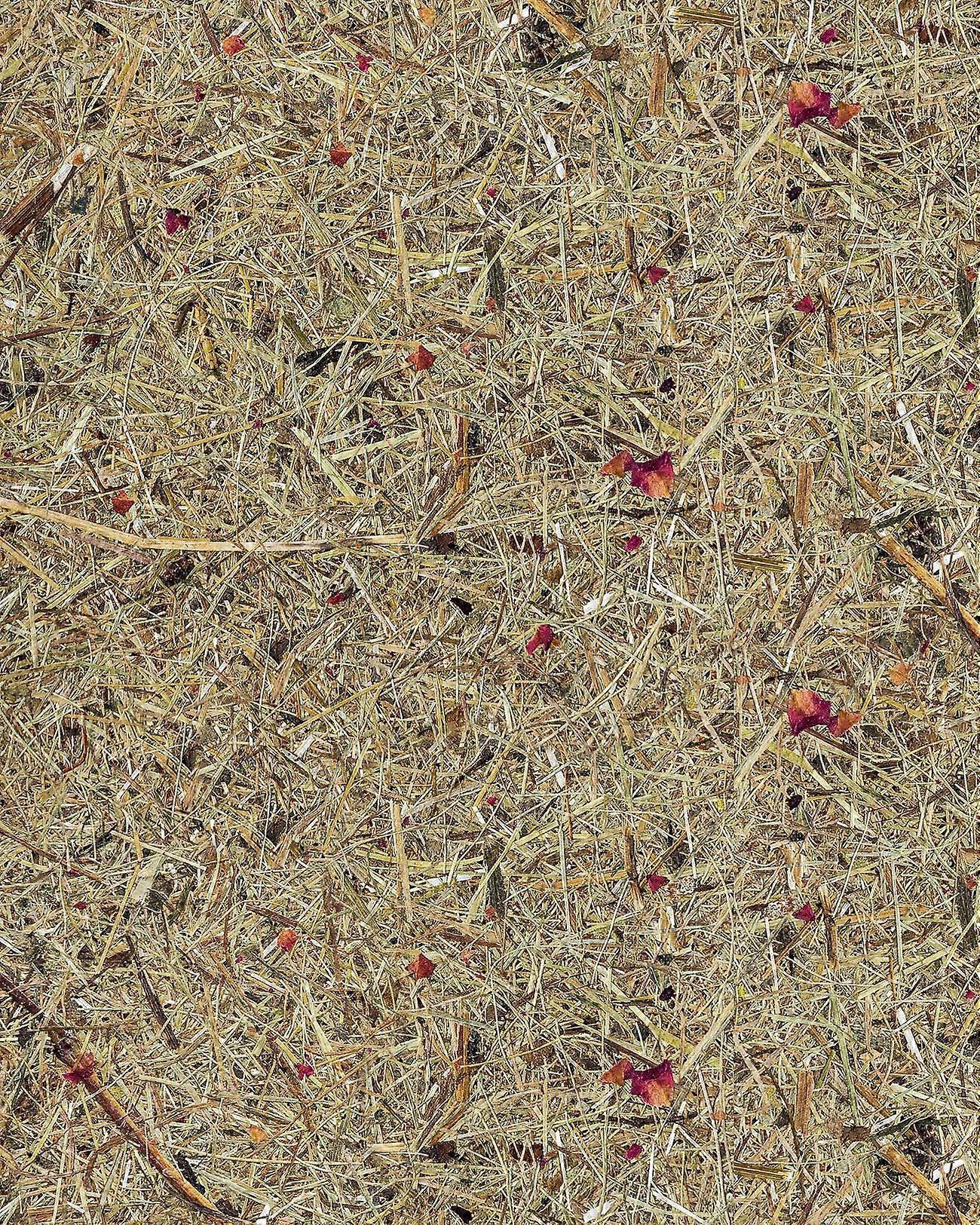 Vægpanel WallFace AL-11003-SA