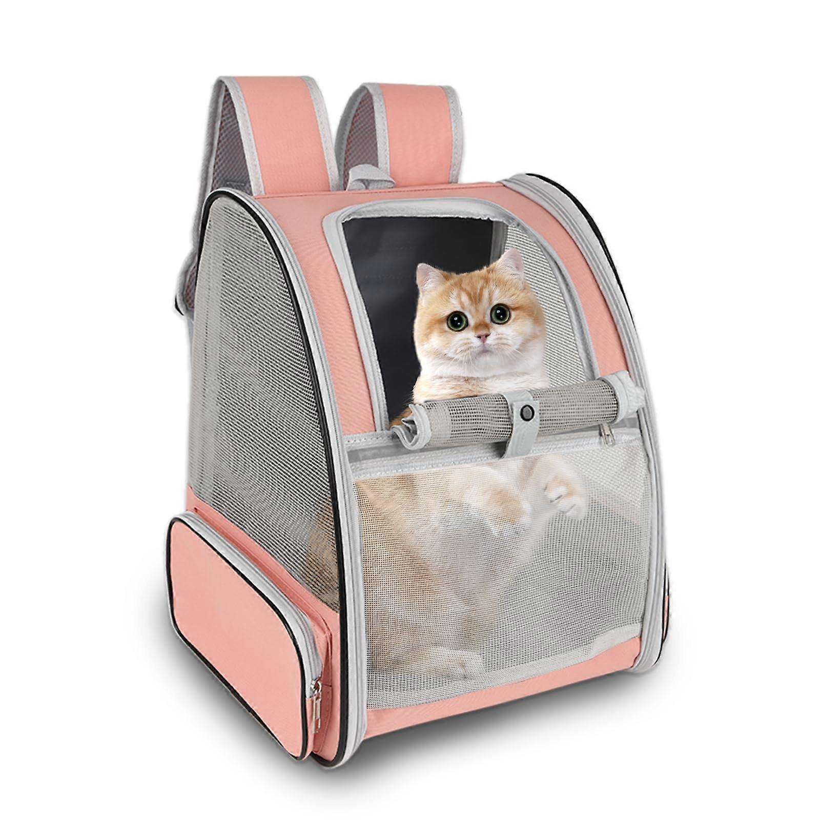 Backpack for camping