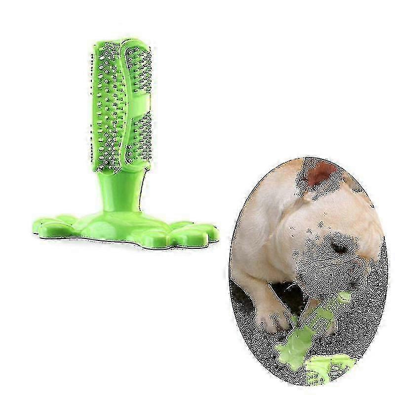 Dog Chew Toys and Toothbrushes for Pets
