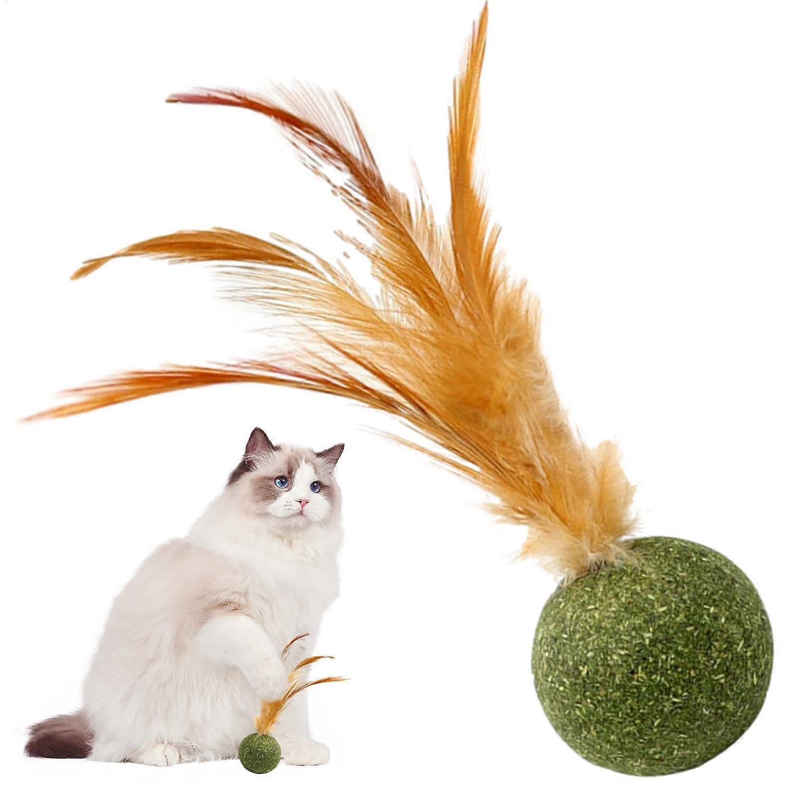 Catnip Balls for Cats - Interactive Detachable Catnip Toy for Indoor Cats, Chew Dental Treat, Mood Booster