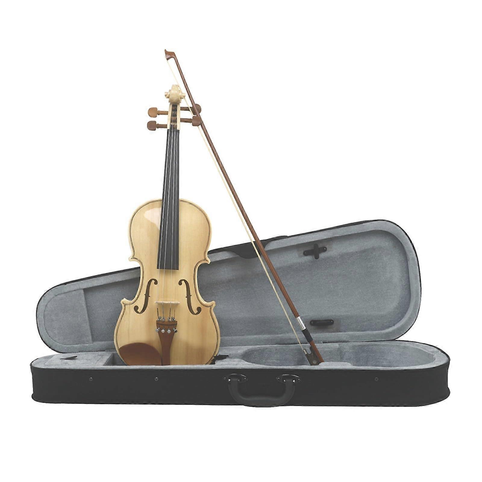 4/4 Full Size Beginner Violin Kit with Case Bow Shoulder Rest, Solid Wood Warm Tone for Students
