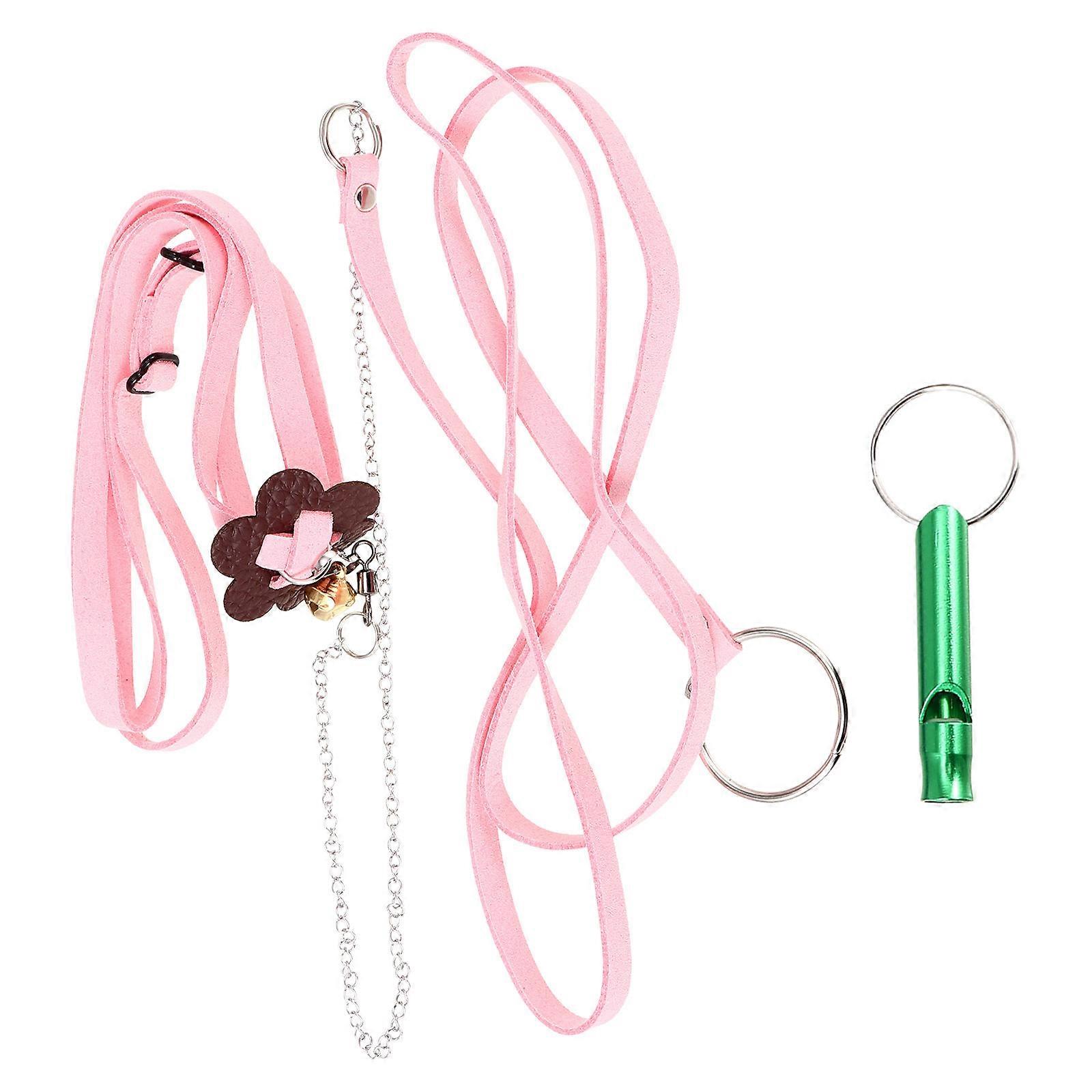 Tortoise Walking Leash Pet Hauling Rope for Pet Control 1Pcs