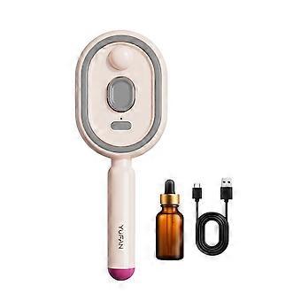 Electric Spray Air Cushion Brush – USB Rechargeable Misting – for Dry Damaged Hair Anti-Frizz