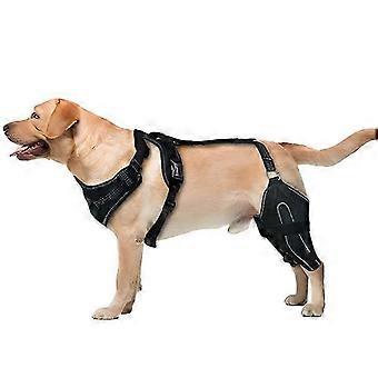 Dog Knee Brace for Torn ACL, Hip Dysplasia, Arthritis Pain Relief, Osteoarthritis, and Ligament Injuries, Adjustable Neoprene Support for Front or Hin