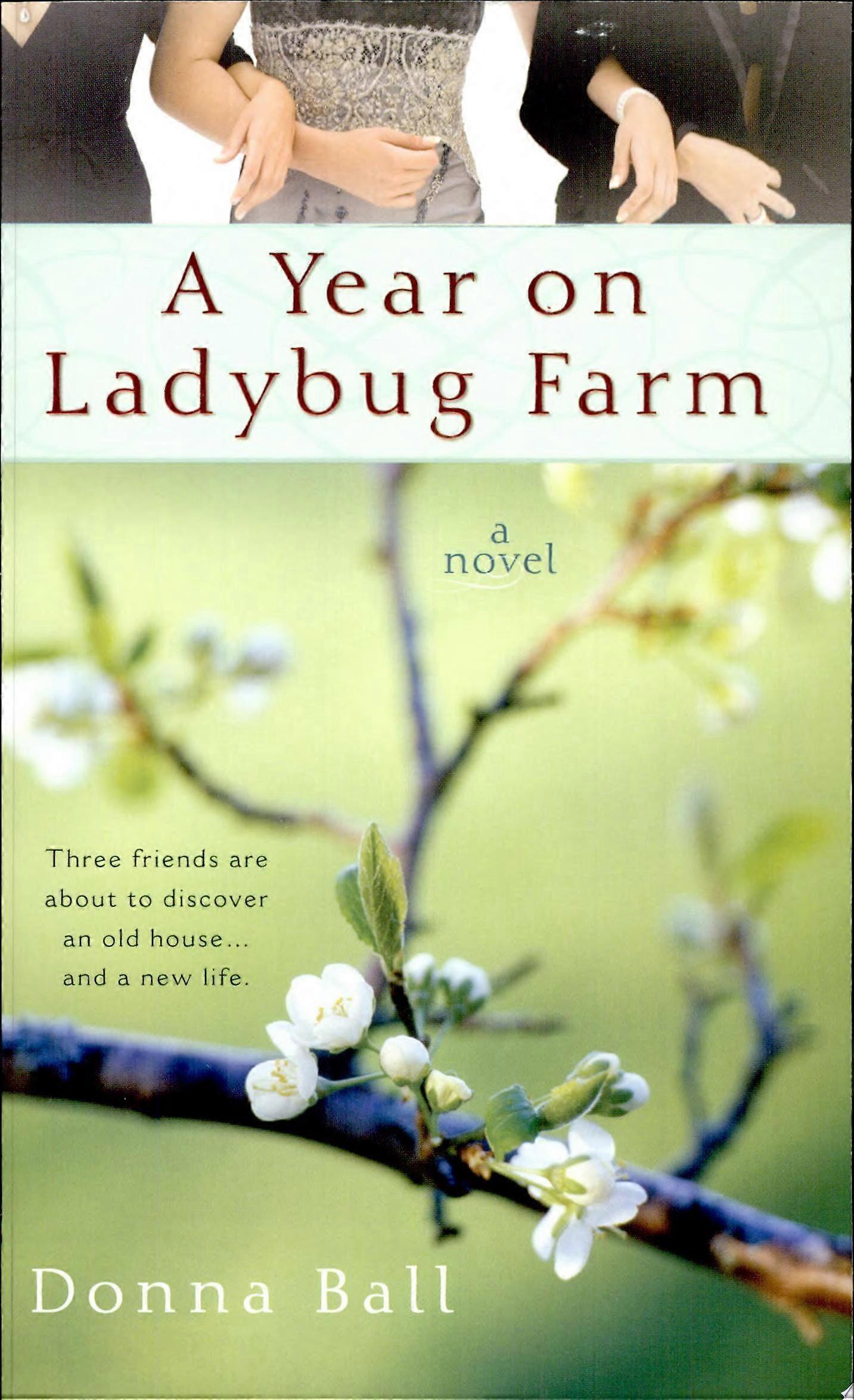A year on ladybug farm
