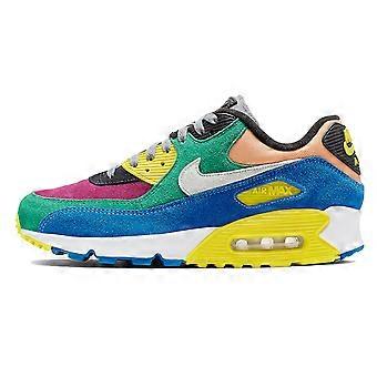 Nike Air Max 90 Viotech CD0917-300