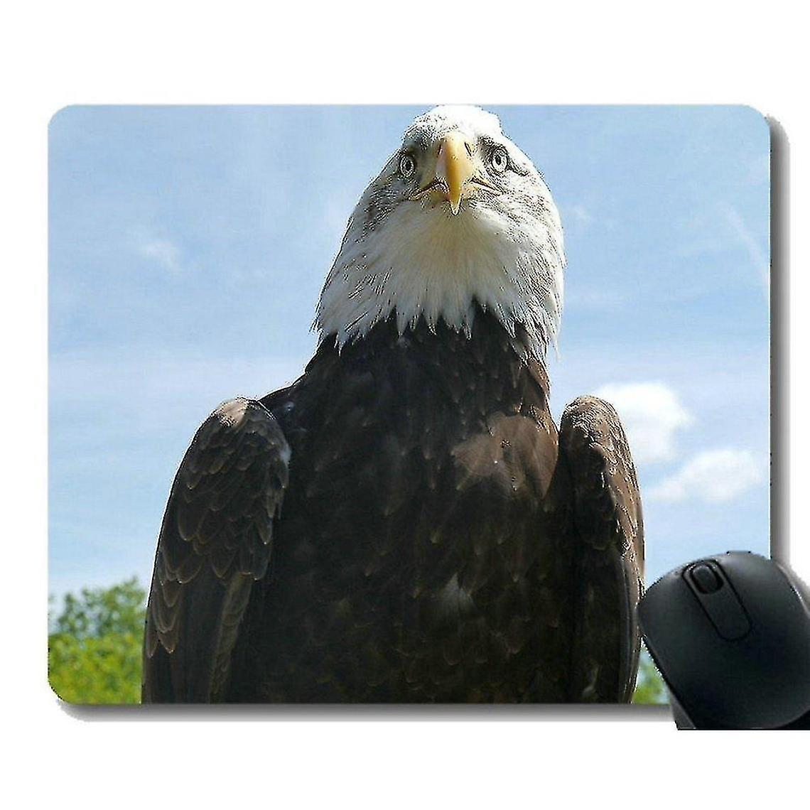 (220x180x3) Unique Custom Mouse Pad Mousepad Beast Bird Office Mouse P