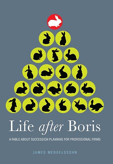 Life After Boris by James Mendelssohn Paperback