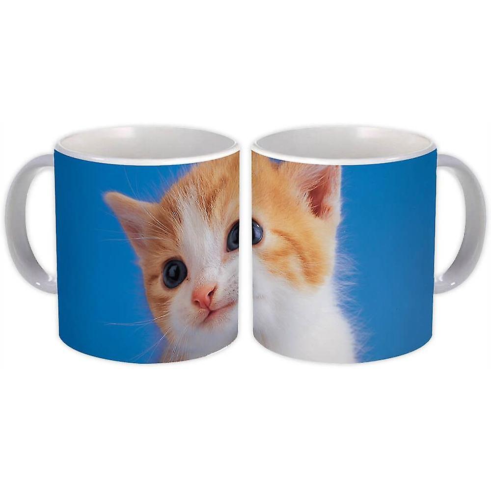 Cadeau mok: Kattendier