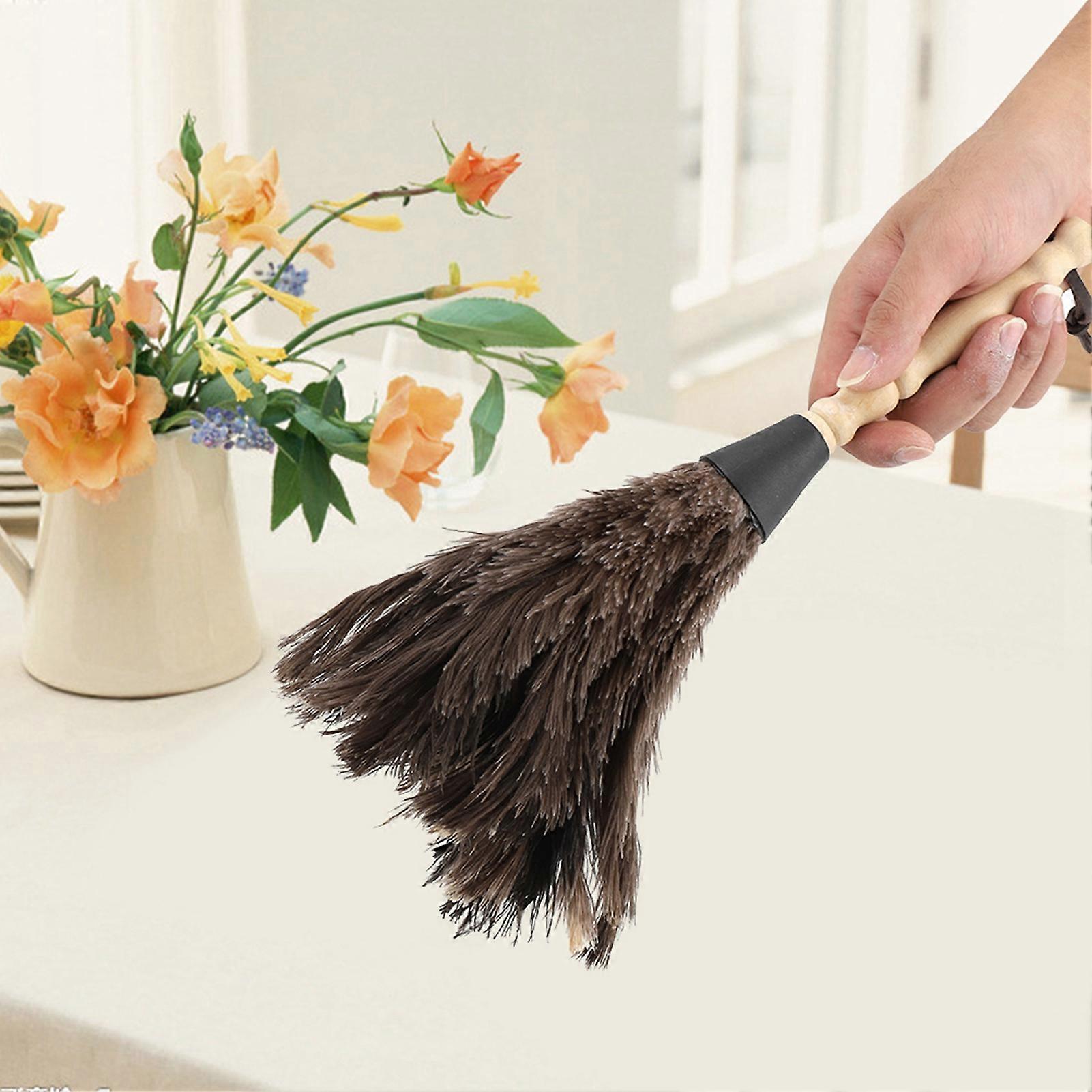 Mini Reusable Ostrich Feather Duster for Books Keyboard 34cm