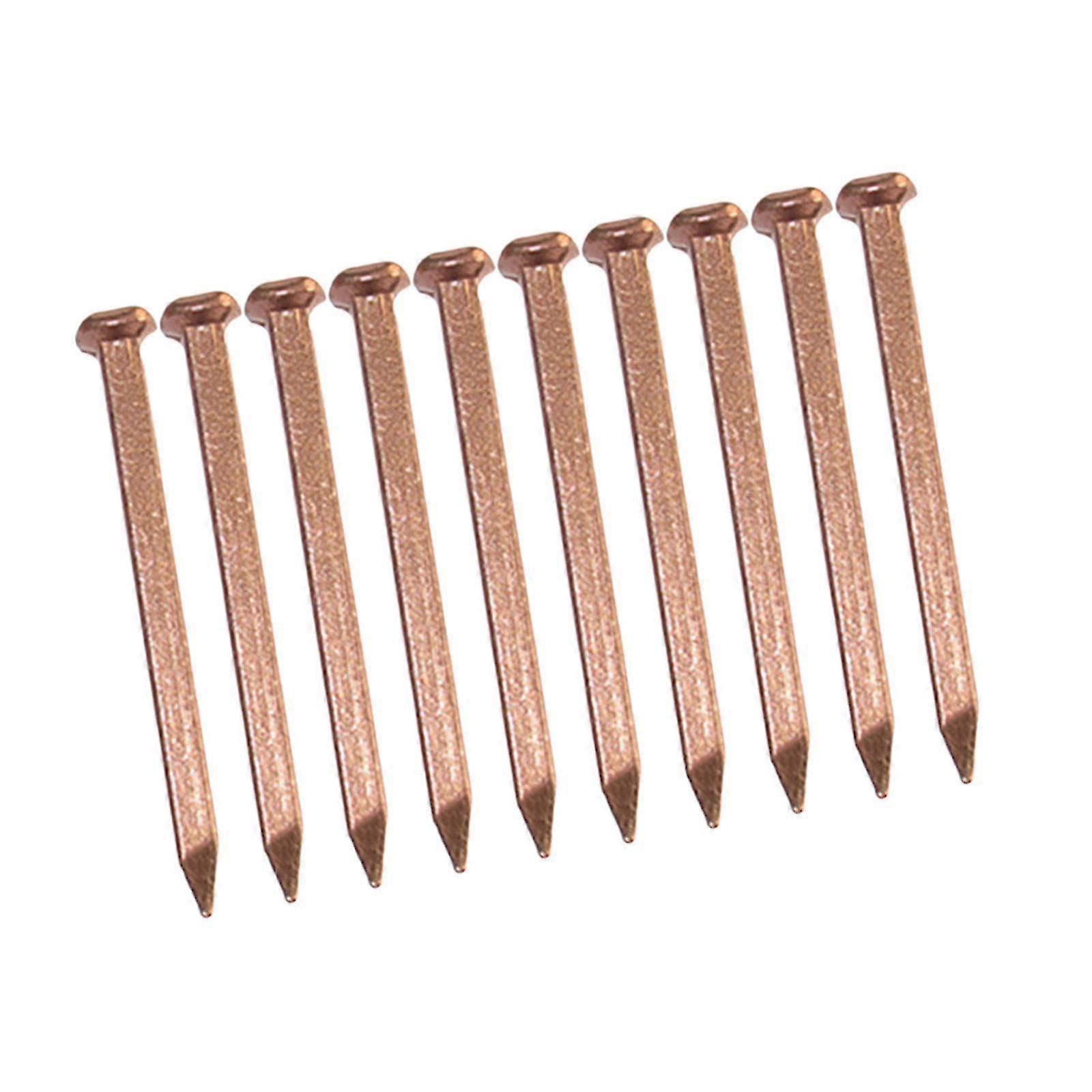 Copper Nails 10 Pack for Slate Roofing, Tree Stumps, Hardware Fixing, DIY Projects