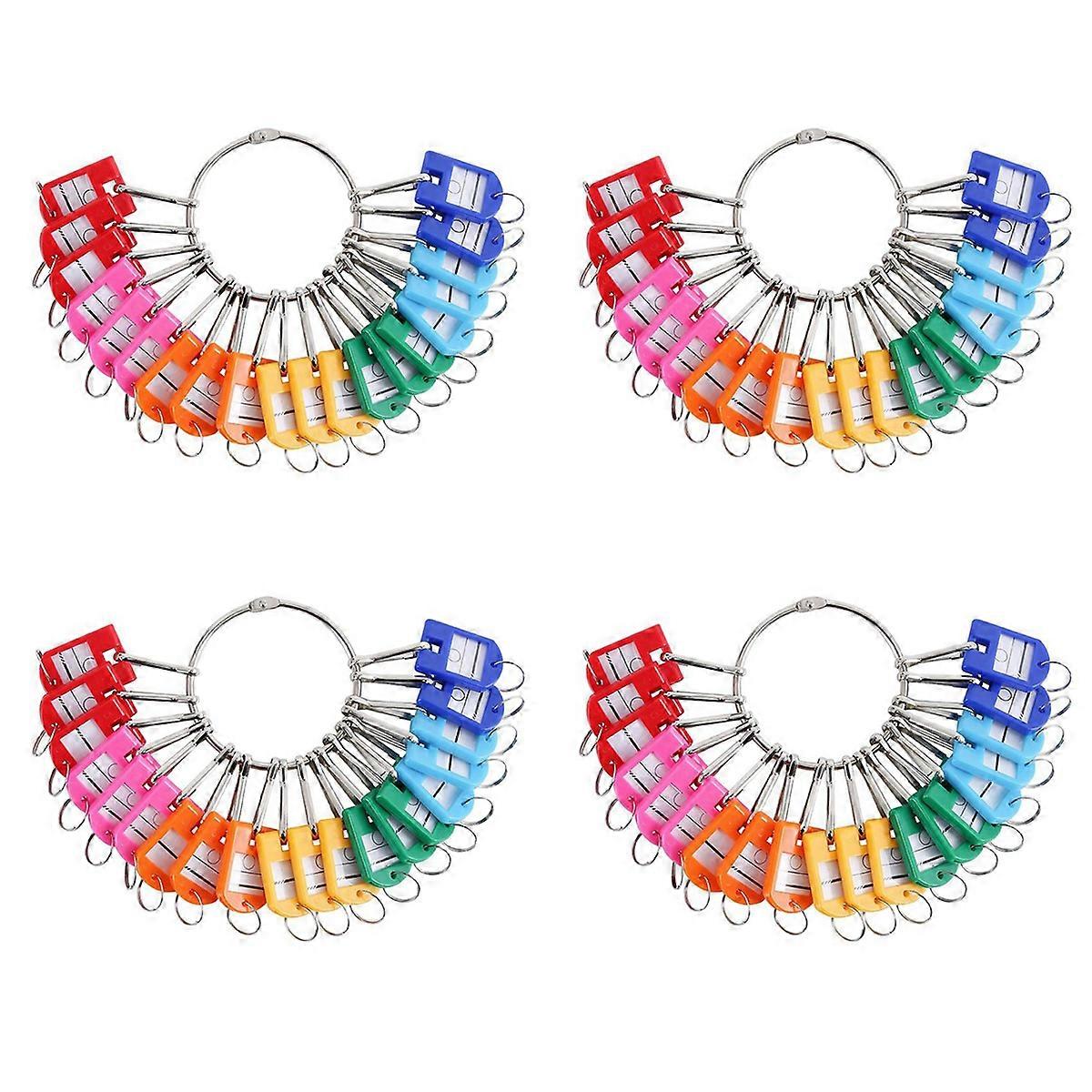 Portable Metal Ring Key Organizer with 30 Spring Hooks & Key Tags