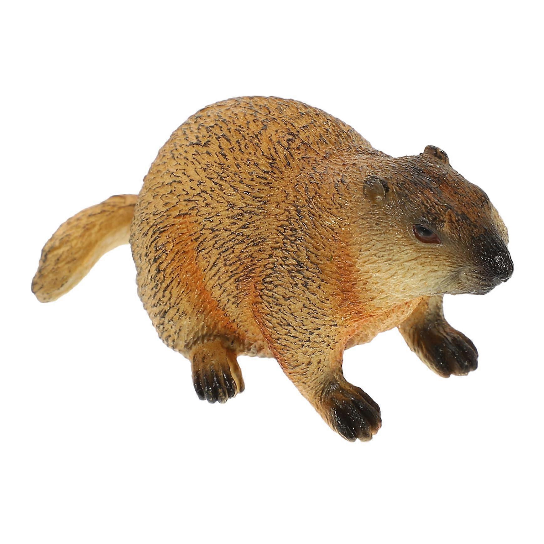 Simulated wild animals, animal toy, animal figures, simulated animal model, marmot model
