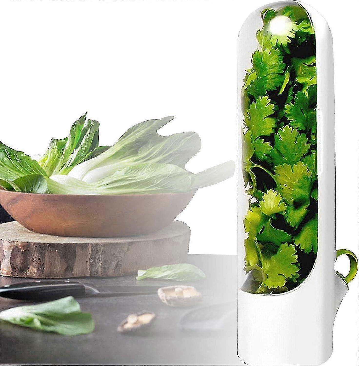 Herb Savor Pod, Green 2.5 x 3 x 10 inches