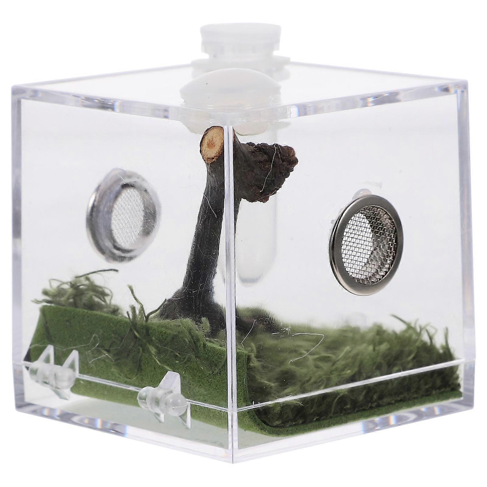 Spider Habitat Box 5Pcs Observation Enclosure For Small Lizards Baby Tortoise 2.16X2.16X2.16In Durable