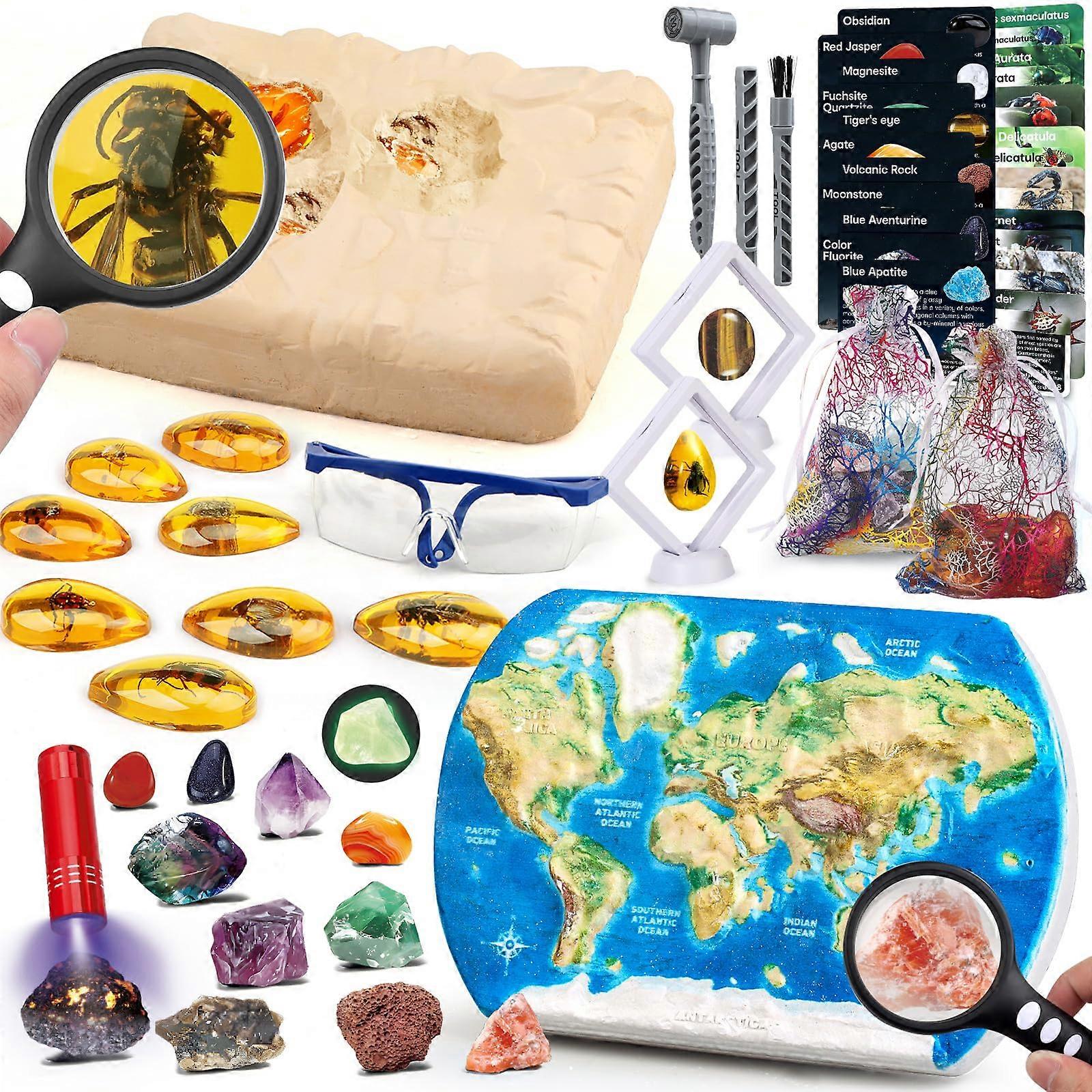 Kids Excavation Kit Dual Theme World Map and Bug Dig STEM Science Set Ages 612 with Tools