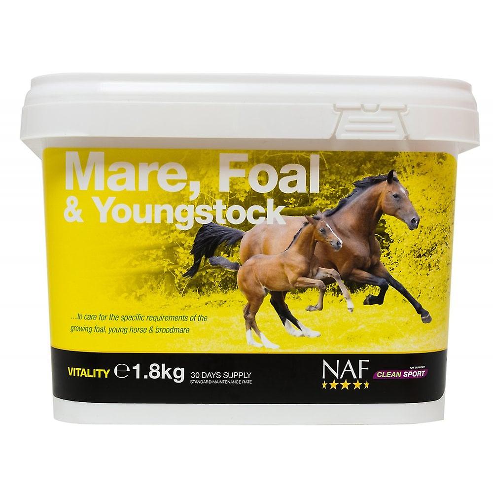 NAF Naf Mare Foal & Youngstock